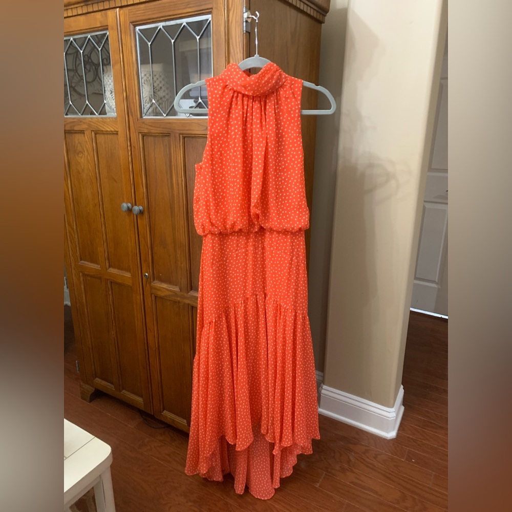 Taylor sleeveless halter neck flared hi low dress
